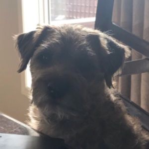 Meet your Posher, Kelsey